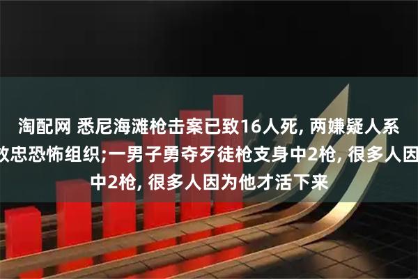 淘配网 悉尼海滩枪击案已致16人死, 两嫌疑人系父子, 曾宣誓效忠恐怖组织;一男子勇夺歹徒枪支身中2枪, 很多人因为他才活下来