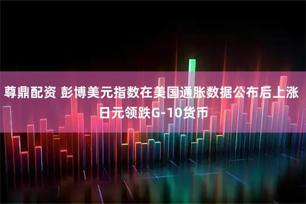 尊鼎配资 彭博美元指数在美国通胀数据公布后上涨 日元领跌G-10货币